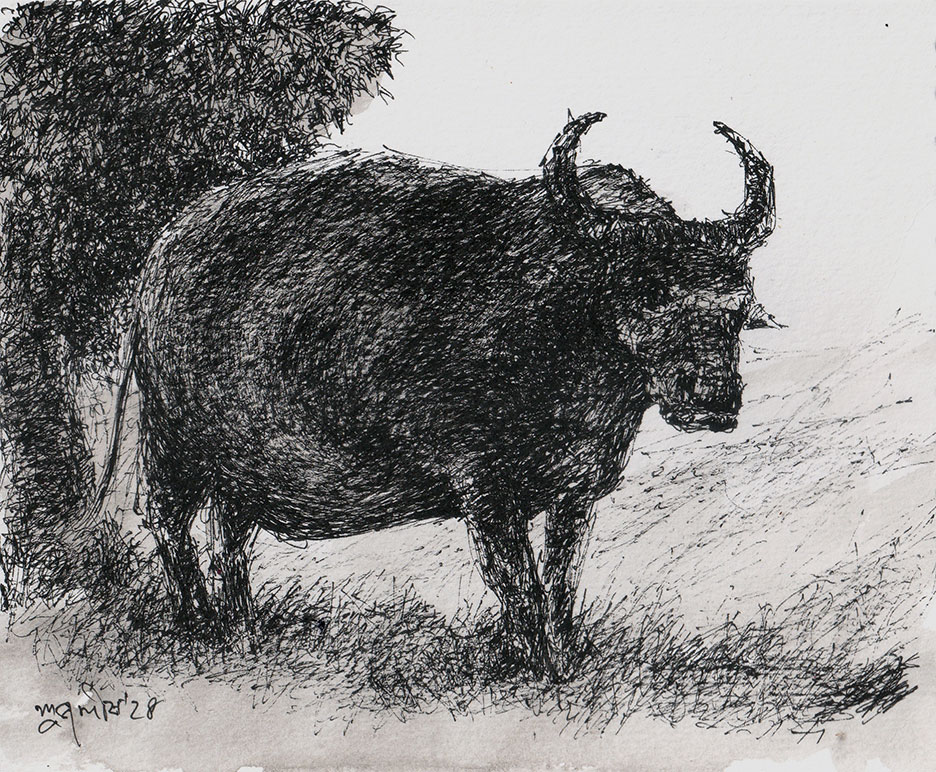 Painting of animal with pen and ink on paper