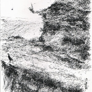 Turns on the Hill  [ 6.25 X 5.25 inches ]