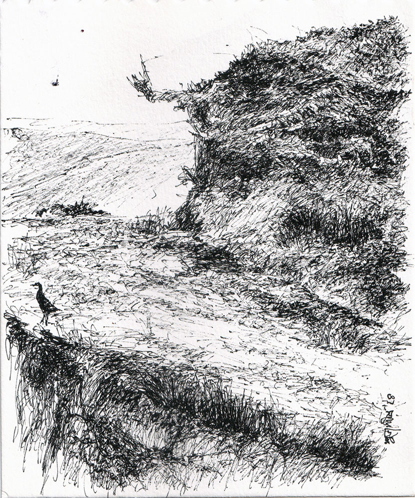 Painting of landscape with pen and ink on paper