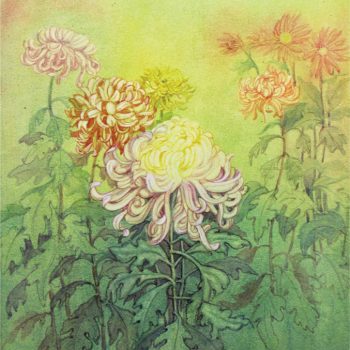 Painting of flowers with watercolour wash on paper